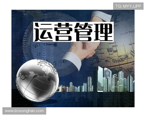 威尼斯盗版网站的运营模式与技术手段揭秘