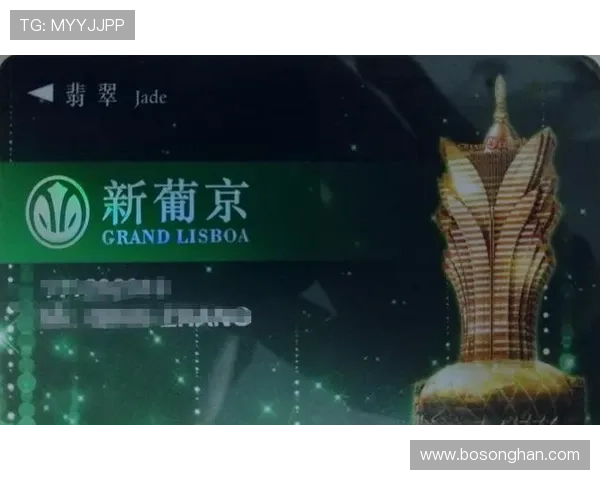 澳门新葡京在线网站全天候客服支持，保障您的每一次游戏体验