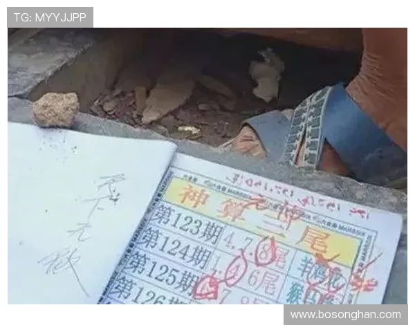 澳门六合彩数字站提供最新最准的六合彩号码预测与开奖信息帮助玩家掌握第一手中奖资讯